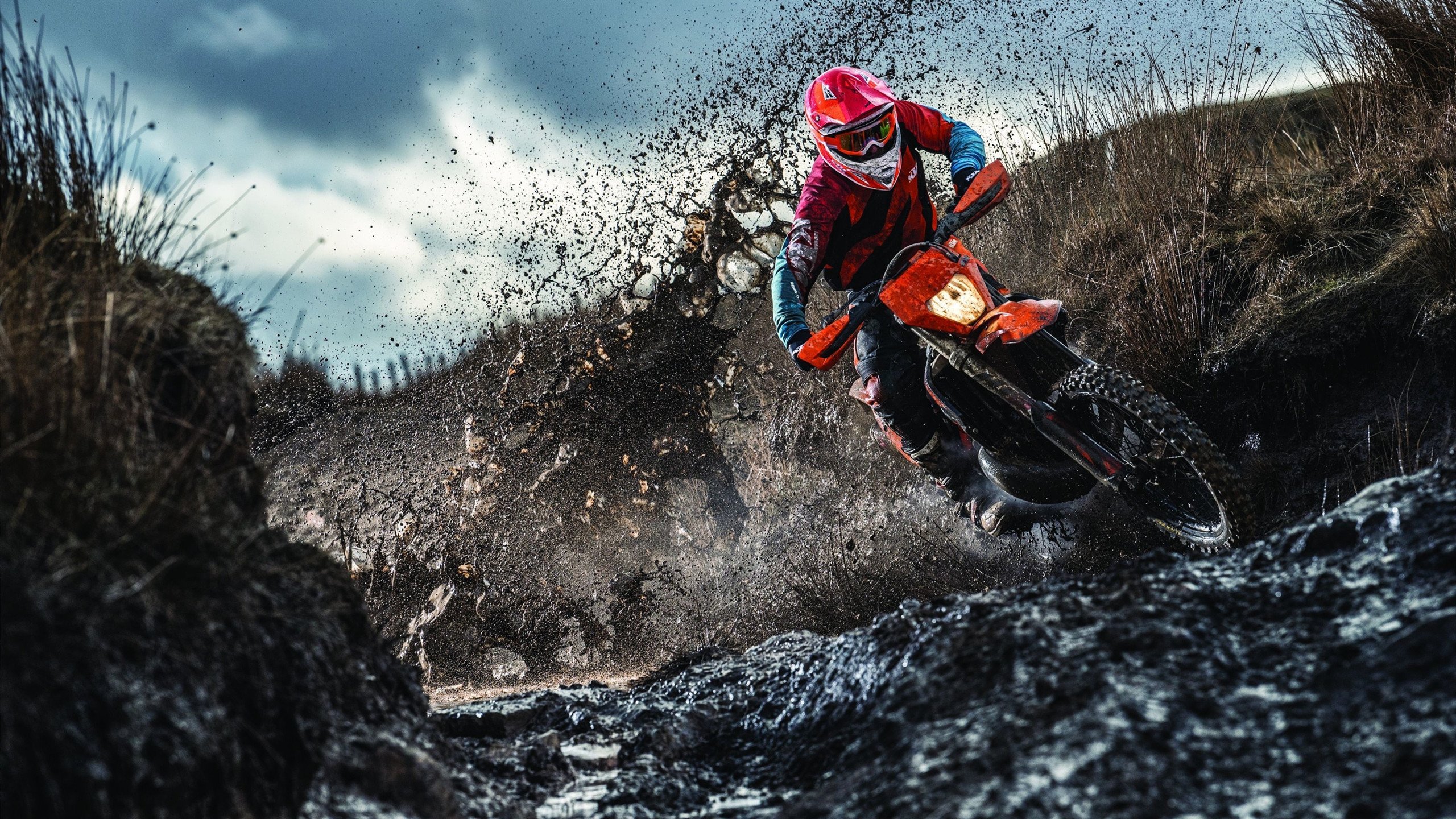 开云体育中国-瑞典队轻取中国队，奥恰洛夫状态火热，乒乓球世界格局再起波澜