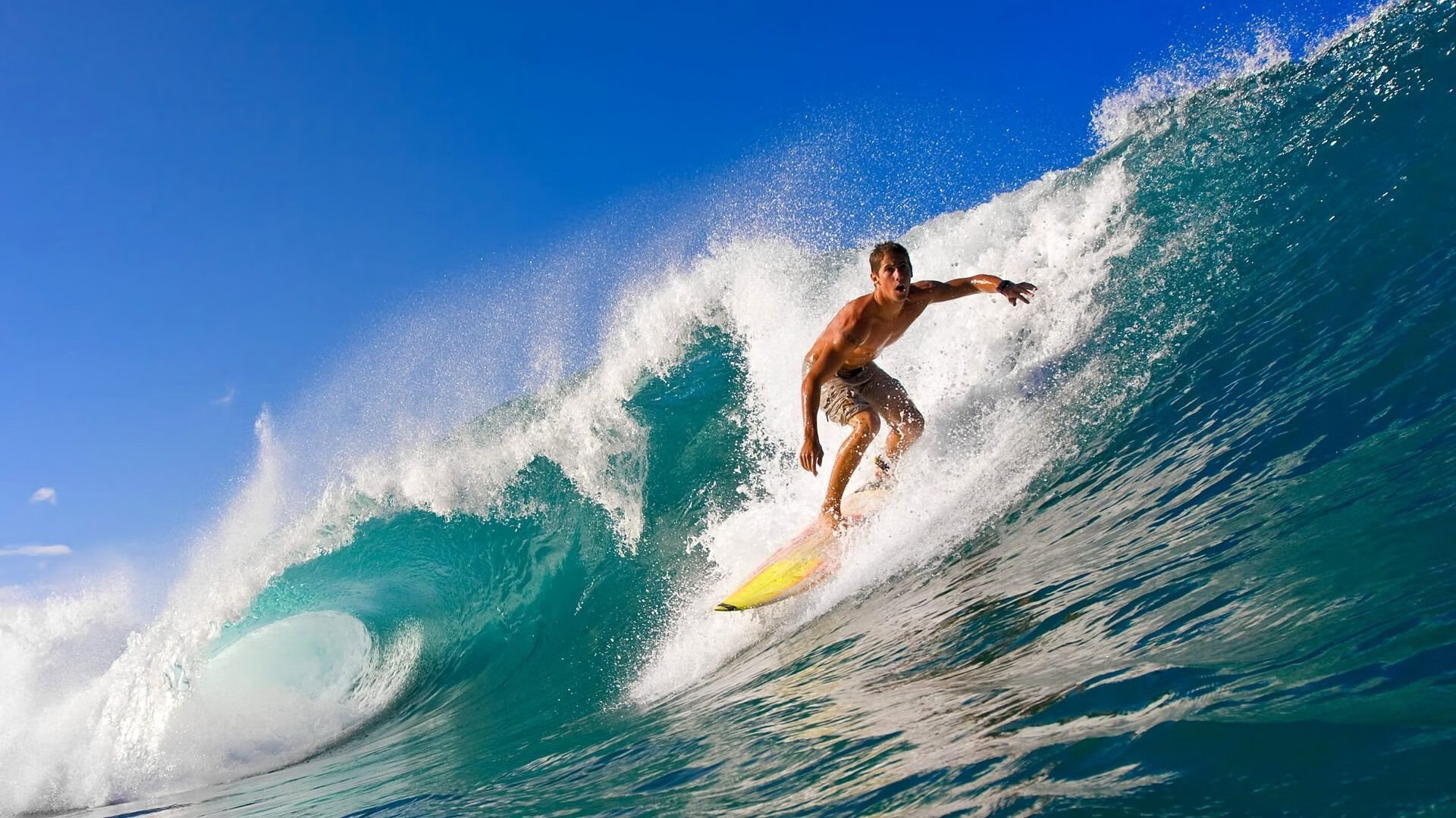 开云体育登录-绝杀与统治,平行宇宙里的子弹与蝴蝶